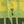 Load image into Gallery viewer, Open Jacquard Cardigan Green