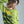 Load image into Gallery viewer, Open Jacquard Cardigan Green